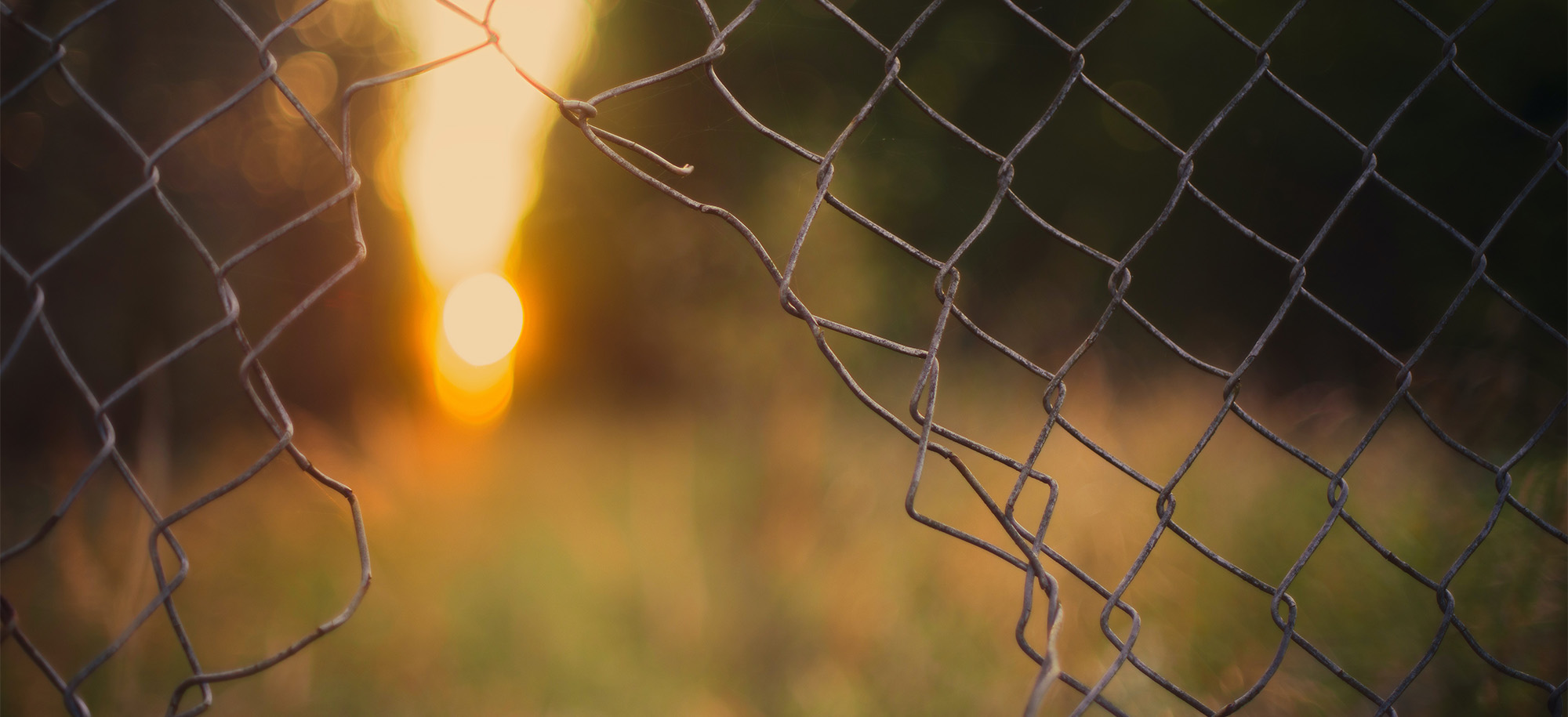 How do you manage data breach risks? How do you manage data breach risks?